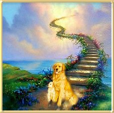 the Rainbow Bridge
